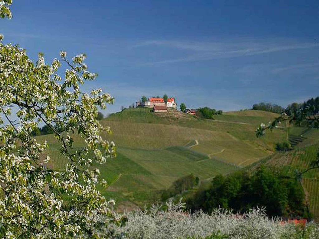 Gasthaus Hohberg Durbach Dış mekan fotoğraf